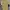 Fred Perry Casual Polo shirt Pria yellow photo 1