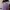 Luxury Prom dress Wanita purple blue photo 2