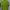 Nike Casual Polo shirt Pria green photo 2