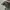 Skechers Casual Sneakers Kids white gray photo 6