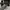 Skechers Casual Sneakers Kids white gray photo 3