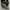 Skechers Casual Sneakers Kids white gray photo 2