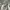 Luxury Going out dress Wanita white gray photo 4