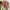 Omighty Coquette Crop top Wanita red brown photo 2