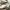 Topten Streetwear Sweater Pria silver white photo 5