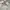 Polo Ralph Lauren Casual Formal shirt Pria white photo 2