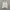 Polo Ralph Lauren Casual Formal shirt Pria white photo 1