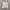 Polo Ralph Lauren Casual Formal Shirt Pria White