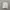 Polo Ralph Lauren Casual Formal shirt Pria white photo 4