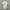 Uniqlo Casual Formal shirt Pria white photo 4
