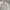 Yves Saint Laurent YSL Casual Formal shirt Pria white photo 2