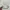 Adidas Casual Sneakers Pria white cream photo 2