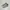 Adidas Casual Sneakers Pria white cream photo 3