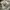 Jones New York Casual Formal shirt Pria cream photo 3