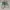 New Balance Casual Sneakers Pria green photo 2