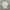 Uniqlo Casual Formal shirt Pria white photo 1
