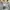 Japanese brand Streetwear Y2K Sweatpants & Joggers Pria gray photo 5