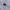 Polo Ralph Lauren Casual Formal shirt Pria white navy photo 8