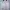 Gorpcore Casual Sweater Pria white photo 1