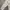 Polo Ralph Lauren Casual Formal shirt Pria cream photo 7