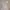 Vintage Cosplay Nightgown Wanita purple photo 2