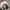 New Era Streetwear Luxury Hat Pria navy black photo 4