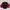 Biker Windbreaker Pria Red Black