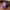 New Era Casual Hat Pria purple photo 1