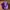 New Era Casual Hat Pria purple photo 3