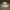 Onitsuka Tiger Vintage Sportswear Sneakers Pria white photo 1