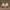 Converse Grunge Indie Sneakers Pria cream photo 2