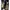 ZARA Luxury Casual Heels Wanita black photo 3