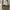 Gucci Casual Bags & purse Wanita brown photo 2