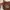 Vintage Y2K Bags & purse Wanita brown photo 2