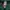 Jerzees Vintage Y2K Sweatshirt Pria green photo 2