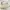 Guess Vintage Y2K Bags & purse Wanita white cream photo 4
