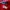 Patagonia Streetwear Y2K Windbreaker Pria red photo 4