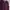 New Balance Streetwear Casual Sweater Pria purple photo 1