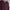 New Balance Streetwear Casual Sweater Pria Purple