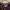 New Balance Streetwear Casual Sweater Pria purple photo 4