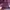 New Balance Streetwear Casual Sweater Pria purple photo 5