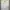 Tommy Hilfiger Minimalist Casual Polo shirt Pria white photo 1