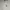 MLB Sportswear Casual Hoody Pria white photo 1