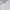 Polo Ralph Lauren Minimalist Casual Polo shirt Pria white photo 4
