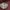 Sportswear Jersey Pria burgundy photo 3