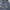 Sportswear Casual Windbreaker Pria navy photo 6