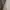 Abercrombie & Fitch Streetwear Hoody Pria gray photo 3