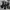 Undefeated Streetwear Jumper Pria gray photo 7