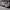 Undefeated Streetwear Jumper Pria gray photo 4