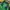 Asics Sportswear Casual Windbreaker Pria green black photo 5